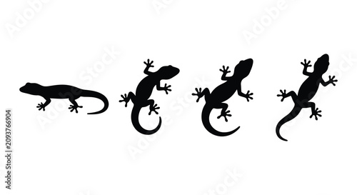 Foto Four Lizard Silhouettes In Various Poses Black And White Silhouette lizards rept