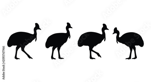 Obraz na płótnie Cassowary bird silhouettes in various poses against a white background silhouett