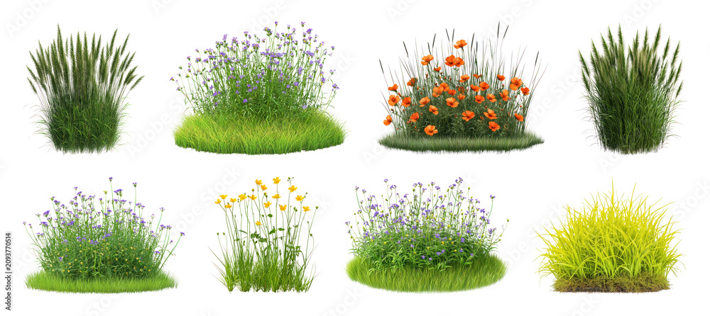 Fototapeta premium PNG Collection of decorative grass and wildflower clumps isolated, transparent background