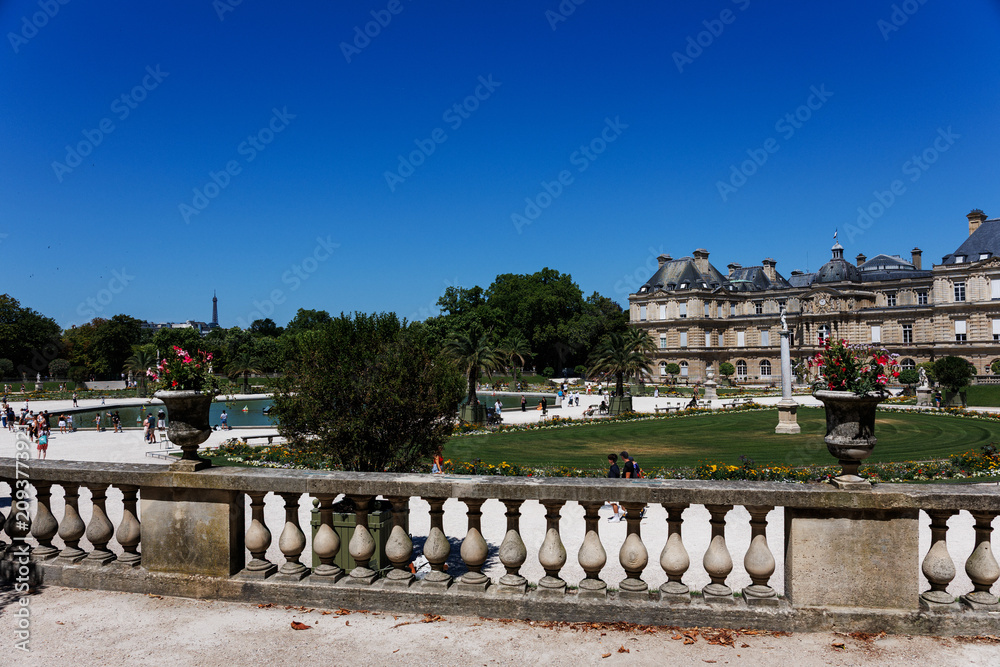Fototapeta premium Luxembourg Palace and Grand Bassin pond on a sunny summer day in Paris, France