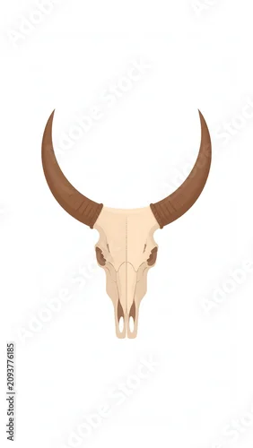Obraz Close up of a giraffe with curved neck against white background.