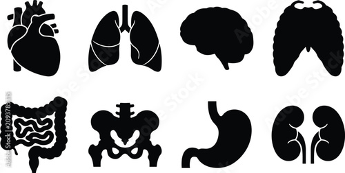 Photos Collection of human internal organs and skeletal anatomy black silhouette icons