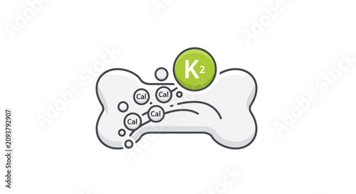 Vitamin K2 and Calcium for Bone Health - Illustration