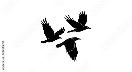 Foto Black raven silhouettes in flight, flying crow bird vector set, dark corvid anim