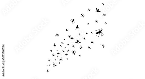 Bild auf Leinwand Swarm of mosquitoes flying in a group, black insect silhouettes on white backgro