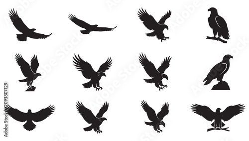 Cuadro en lienzo Eagle Silhouette Vector Set, Flying and Perching Bird Icons Bundle