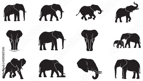Bild auf Leinwand High-quality elephant silhouette vector collection featuring African and Asian elephants in various natural poses