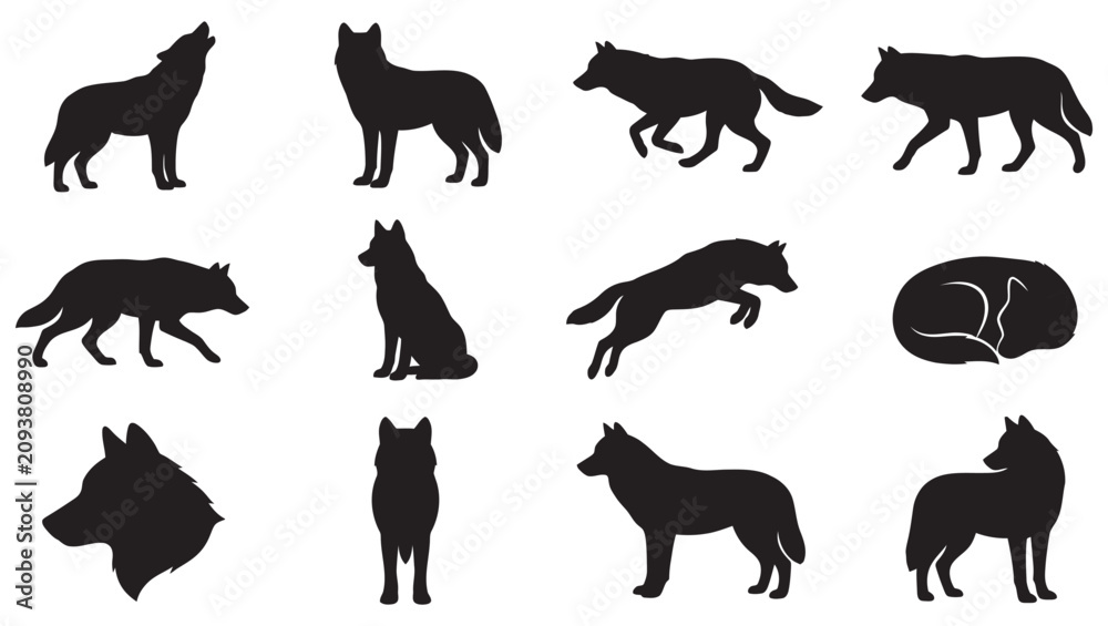 Obraz premium High-quality wolf silhouette vector collection featuring wild gray wolves, coyotes, and jackals in various dynamic poses. Includes howling, running, stalking, walking, jumping, sitting, and sleeping 