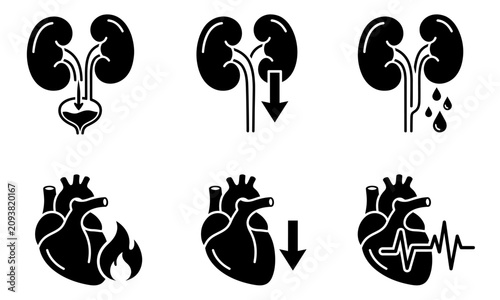 Black and white icons of human heart and kidney