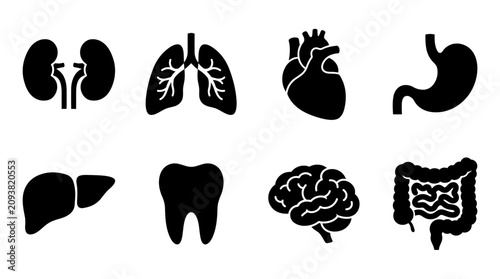 Black silhouettes of human organs