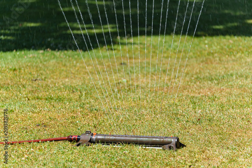 Garden sprinkler watering dry lawn to combat Europe's intense summer heatwave