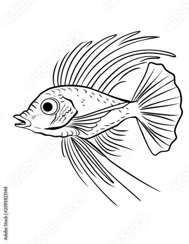 Kids Animal Coloring Page, Printable Animal Coloring Sheets, Cute Kids Activity Pages, Preschool Coloring Book, Edu