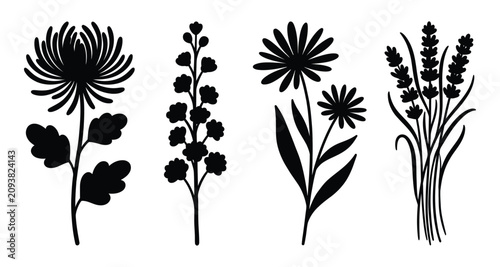 Botanical silhouette collection with chrysanthemum daisy and lavender sprigs against a white background