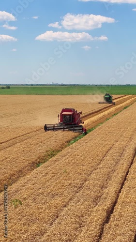 Aerial view of wheat harvest. Drone shot flying over two combine harvesters working on wheat field