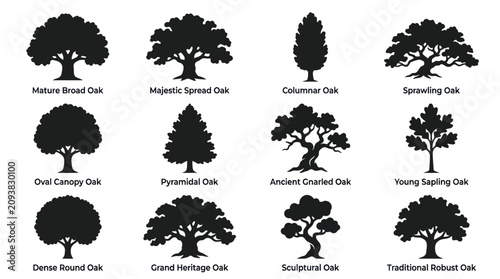 Foto Collection of diverse oak tree silhouettes