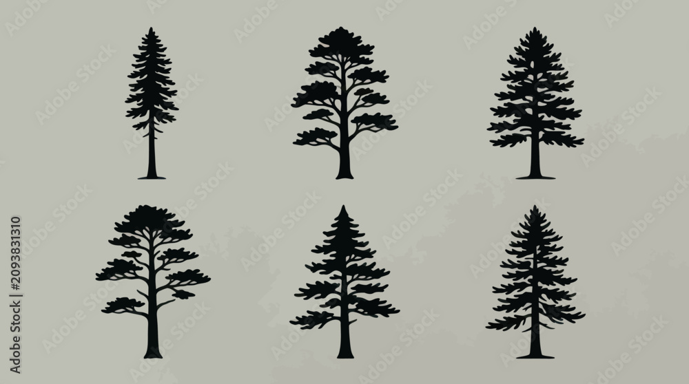 Obraz premium Collection of evergreen tree silhouettes