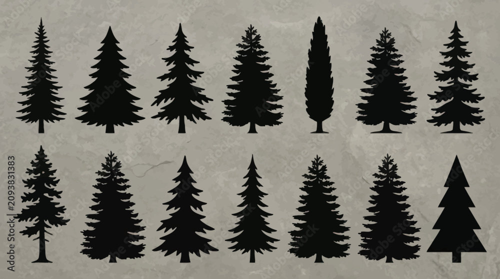 Obraz premium Collection of evergreen tree silhouettes