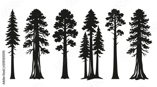 Tableau sur toile Collection of evergreen tree silhouettes