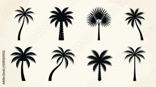 Tableau sur toile Collection of palm tree silhouettes