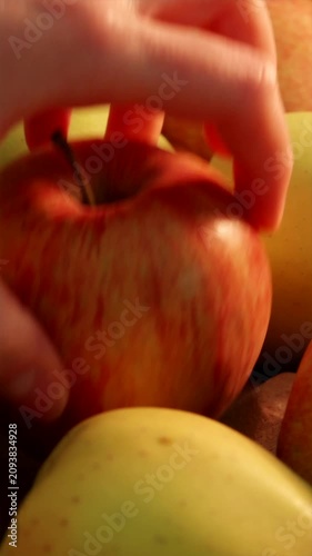 Close up tracking shot over fresh apples as woman's hand picks one