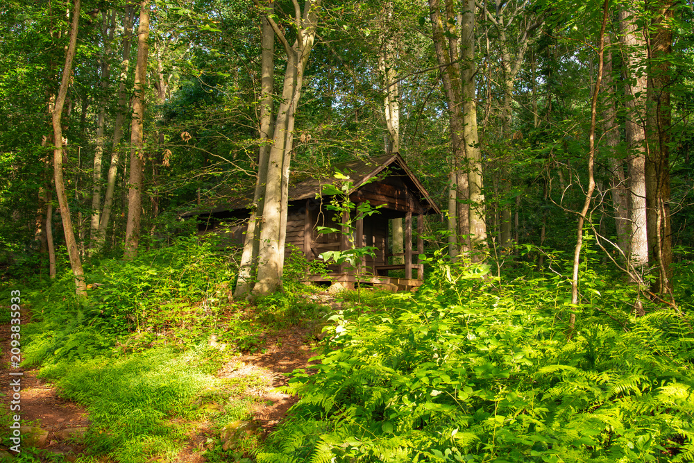 Obraz premium Boone Trail at French Creek State Park