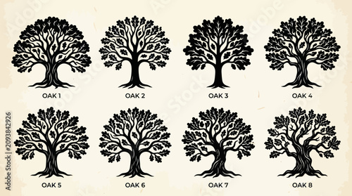 Collection of stylized oak trees
