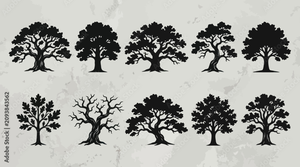Fototapeta premium Collection of stylized tree silhouettes