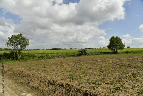 Foto Champ à peine semé au printemps sous des cumulus de beau temps à Genappe (Nivell