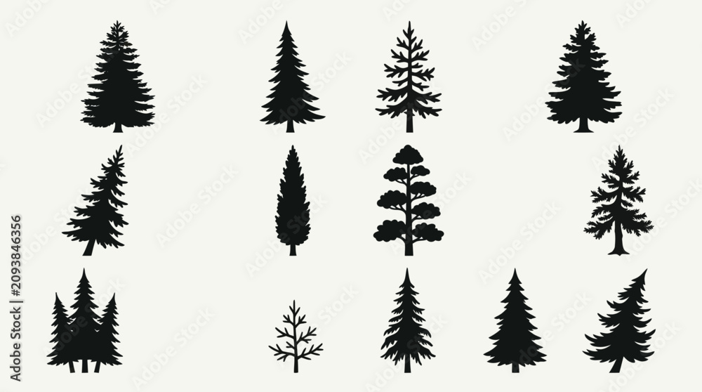 Fototapeta premium Diverse coniferous tree silhouettes collection