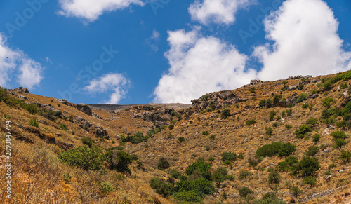 Принти на полотні mountain slopes covered with sparse Mediterranean-type vegetation