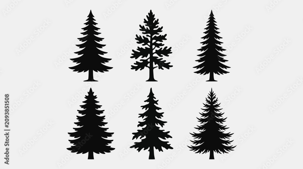 Obraz premium Evergreen tree silhouettes collection
