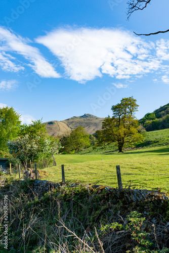 Sunny Mountain Meadow with Dry Stone Wall and Trees in the English Countryside