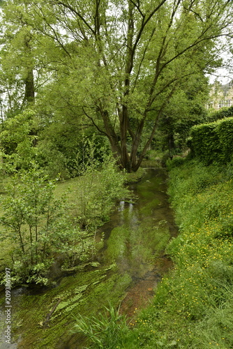 Foto L'Eau d'Heure coulant paisiblement en plein bois à Ham-Sur-Heure (Thuin)