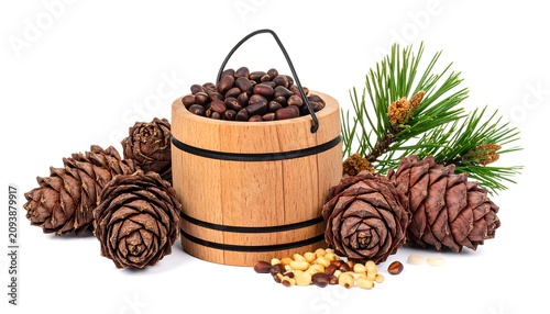 A wooden bucket filled with brown seeds surrounded by pinecones and evergreen branches on a white background