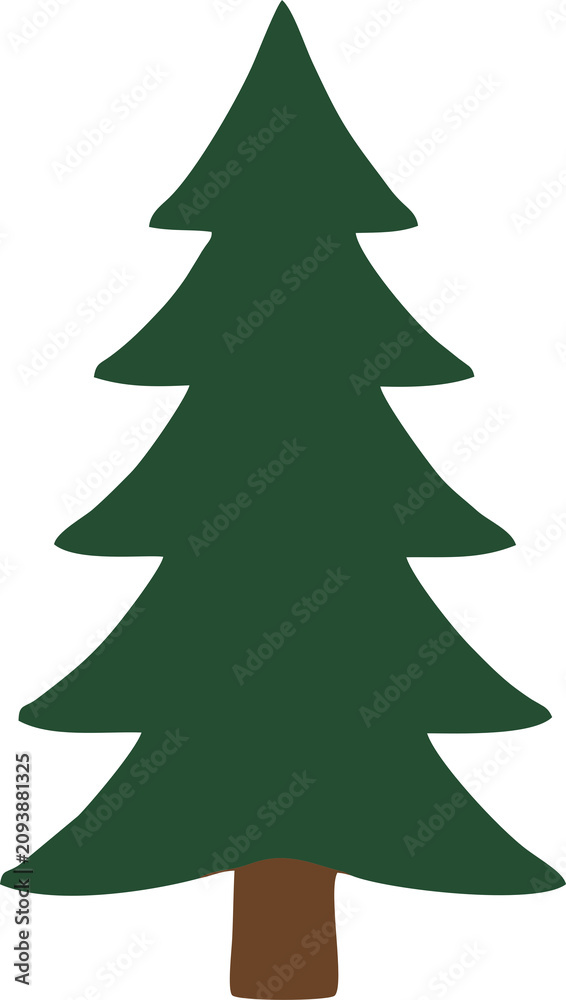 Fototapeta premium Pine Tree