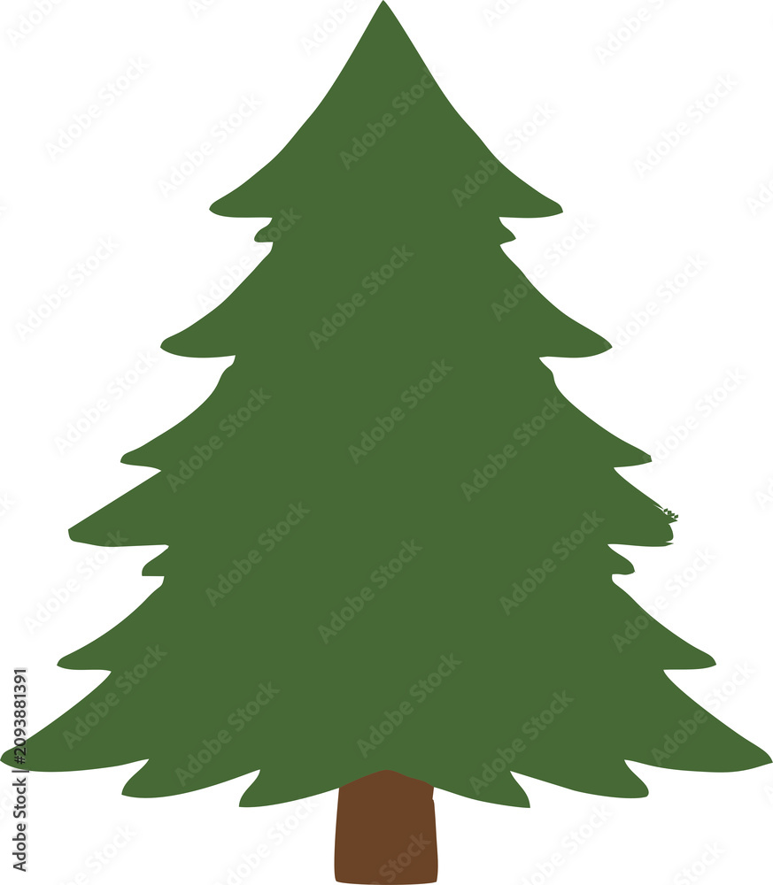 Obraz premium Pine Tree