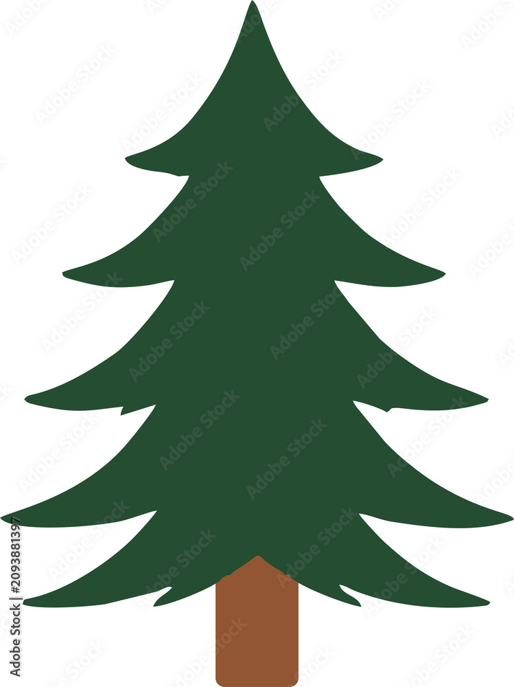 Fototapeta premium Pine Tree