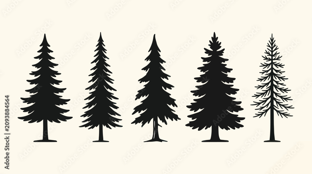 Obraz premium Pine tree silhouettes variety
