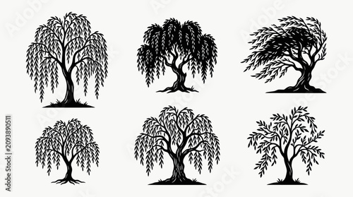 Canvastavla Silhouette willow tree collection
