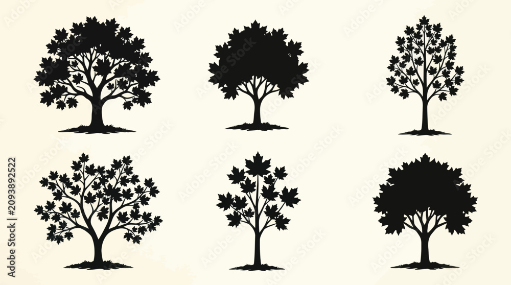 Fototapeta premium Tree silhouette collection nature elements