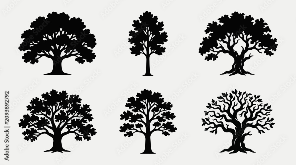 Fototapeta premium Tree silhouettes collection