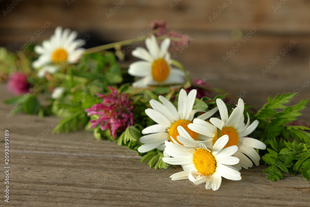 Obraz premium Create midsummer wreath. Hand picked flowers. Daisy and red clover. DIY concept photo. Wooden table background. Swedish tradition and culture.