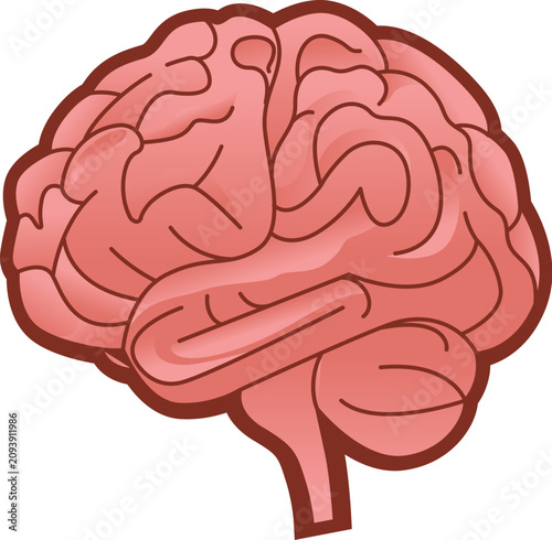Tableau sur toile Brain Vector
