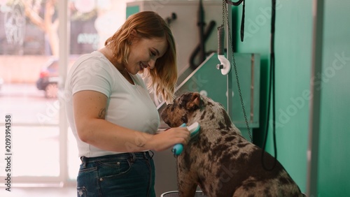 Bild auf Leinwand Woman grooming a dog's coat, tending to its care at a salon