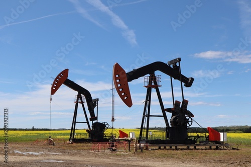 Bild auf Leinwand an oil pumpjack — the classic “nodding donkey” you see across rural Alberta