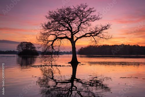 sunset on the lake