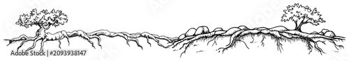 Photography Trees with exposed long root systems and rocky landscape hand drawn sketch style