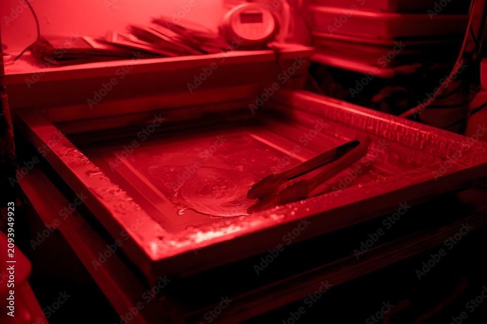 Fototapeta premium Darkroom scene with wet print under red safelight glow