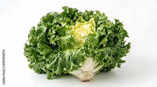 Fresh green broccoli florets in a pile.