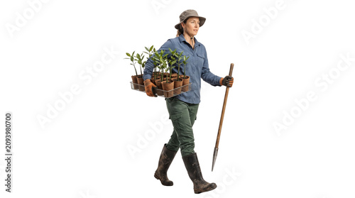 Female gardener carrying a metal tray of young potted plants while walking with a wooden tool